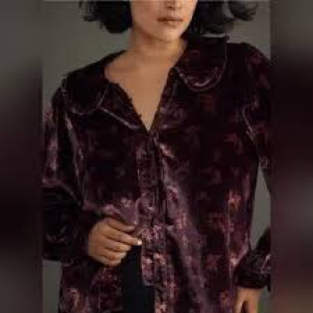 Nwot Pilcro keira plum Velvet Blouse